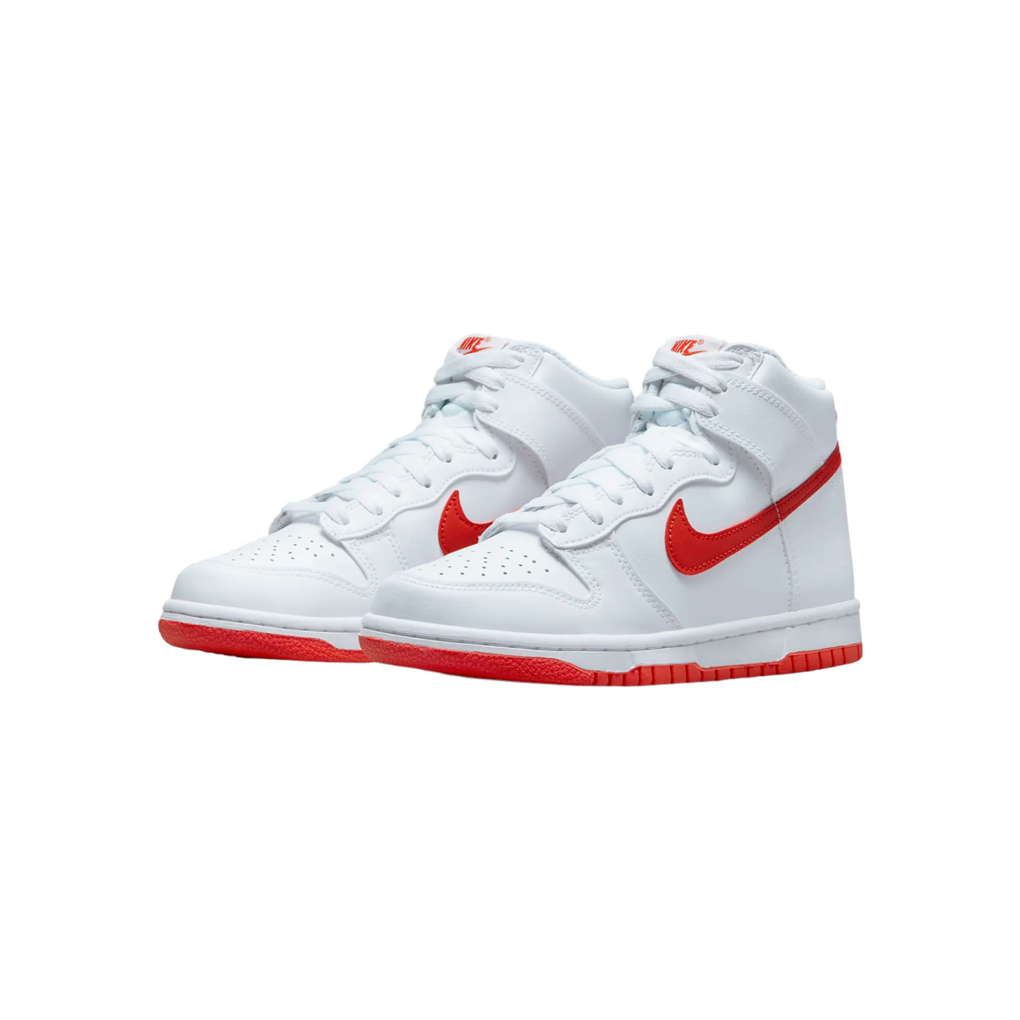 Nike Dunk High DB2179-111